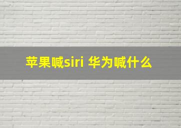 苹果喊siri 华为喊什么